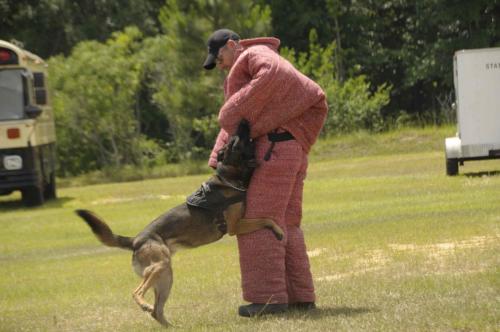  FHP8785
