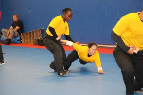IMG 9302