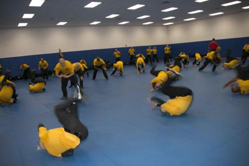IMG 6887