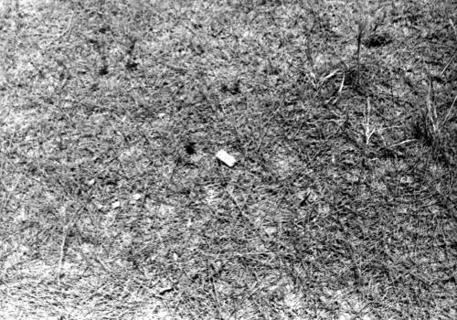 img769