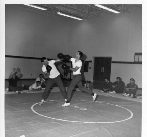 img733