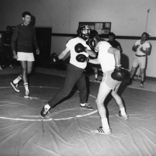 img534