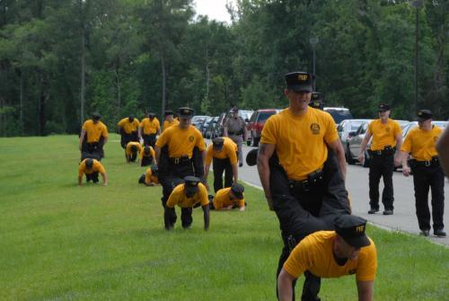 119th DT - 3
