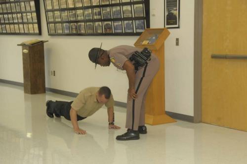  FHP8013